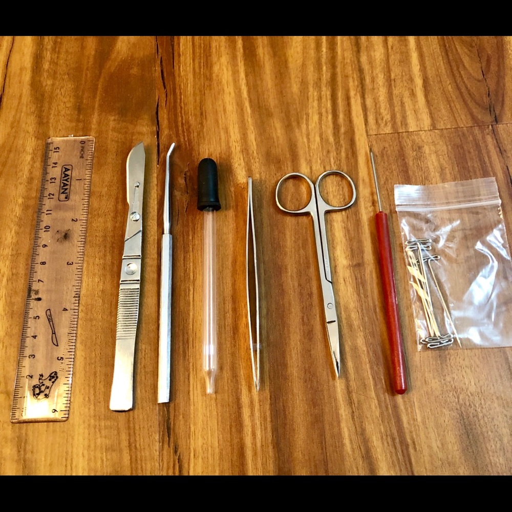 Dissection Kit - Picture 2 of 3